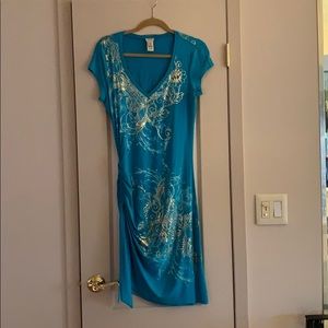 Beautiful Cache dress